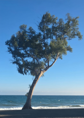 2025: Neues Atelier Marbella 2025: Neues Atelier Marbella